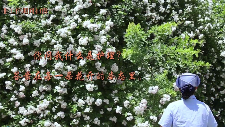 ����һ��С�컨